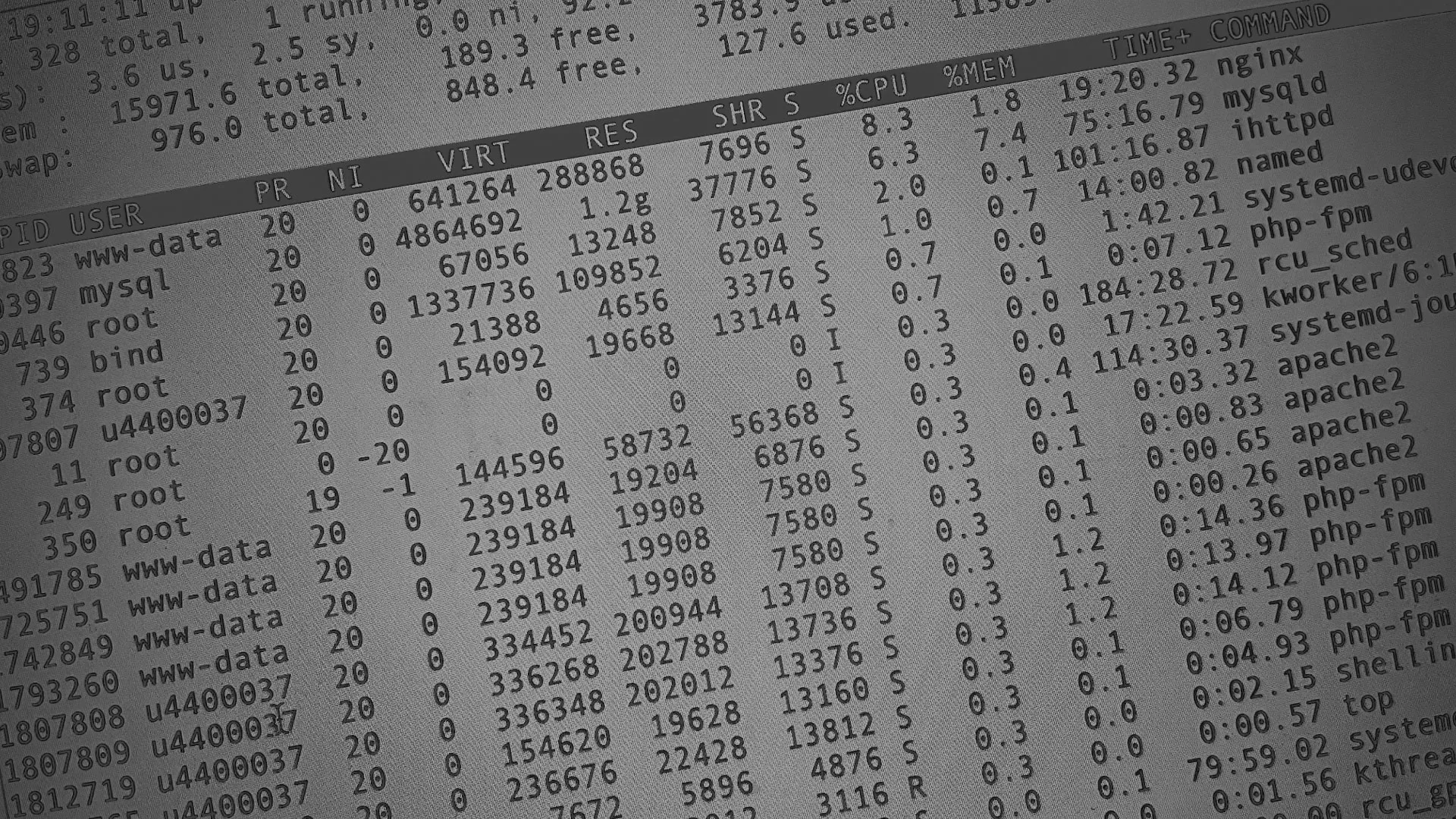 Настройка сервера в Малой Вишере