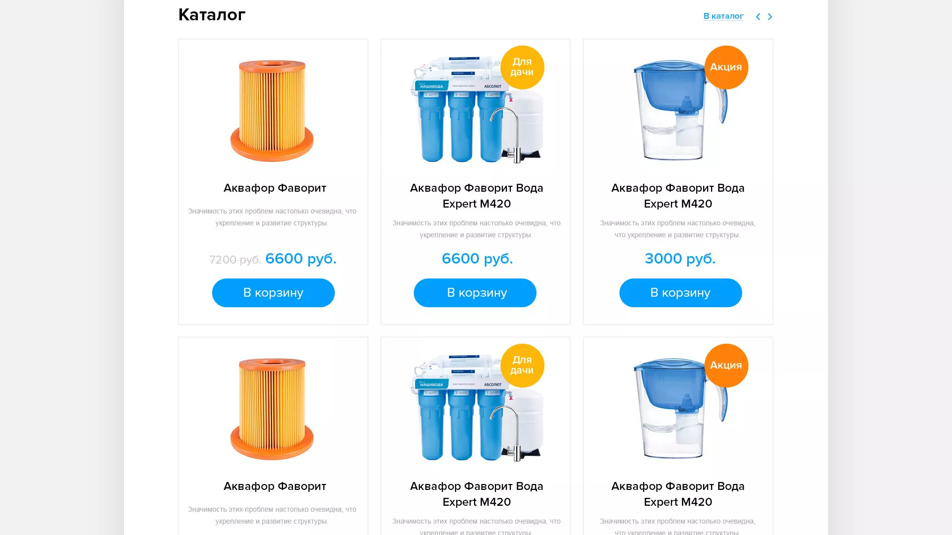 Создание интернет-магазина «Водолей» по продаже фильтров очистных сооружений в Малой Вишере