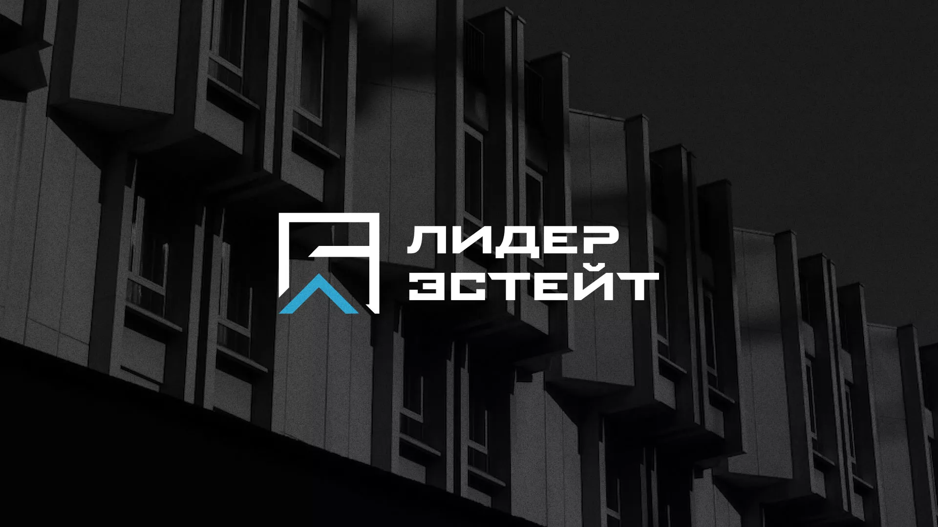 Разработка логотипа агентства недвижимости «Лидер Эстейт» в Малой Вишере